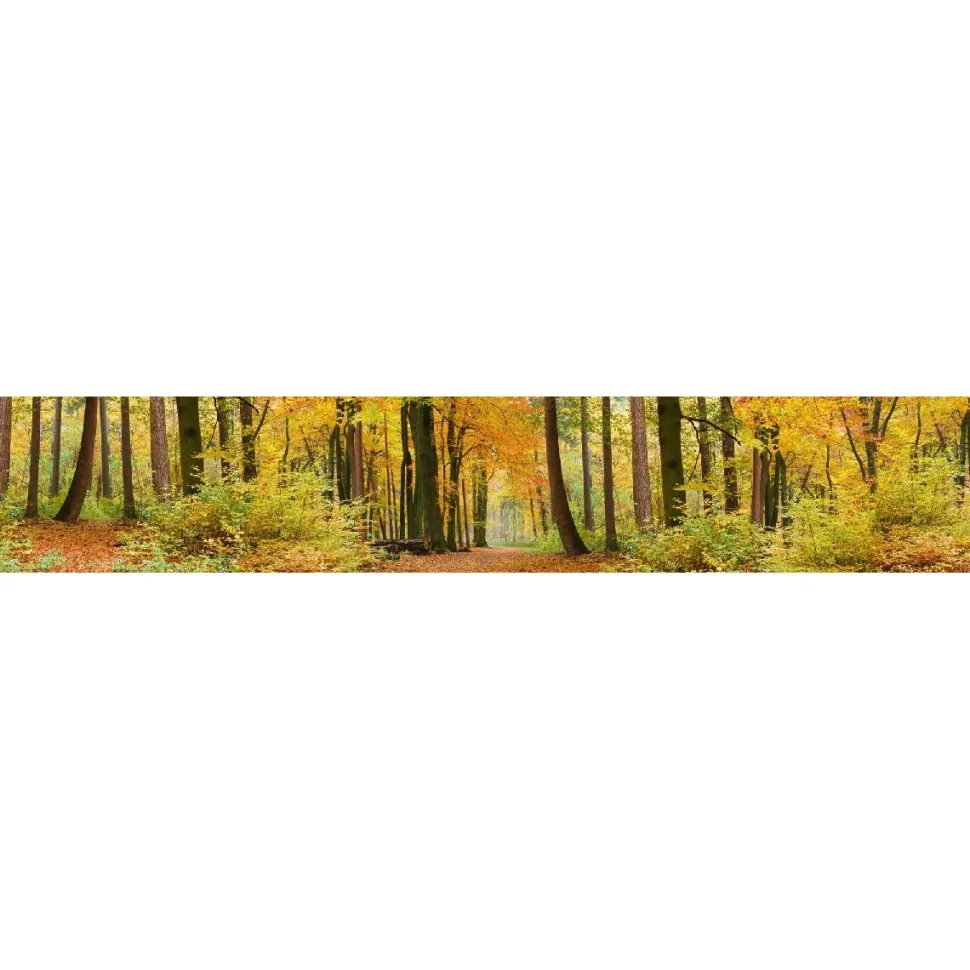 Välitilatarra Dimex Autumn Forest 180x60cm