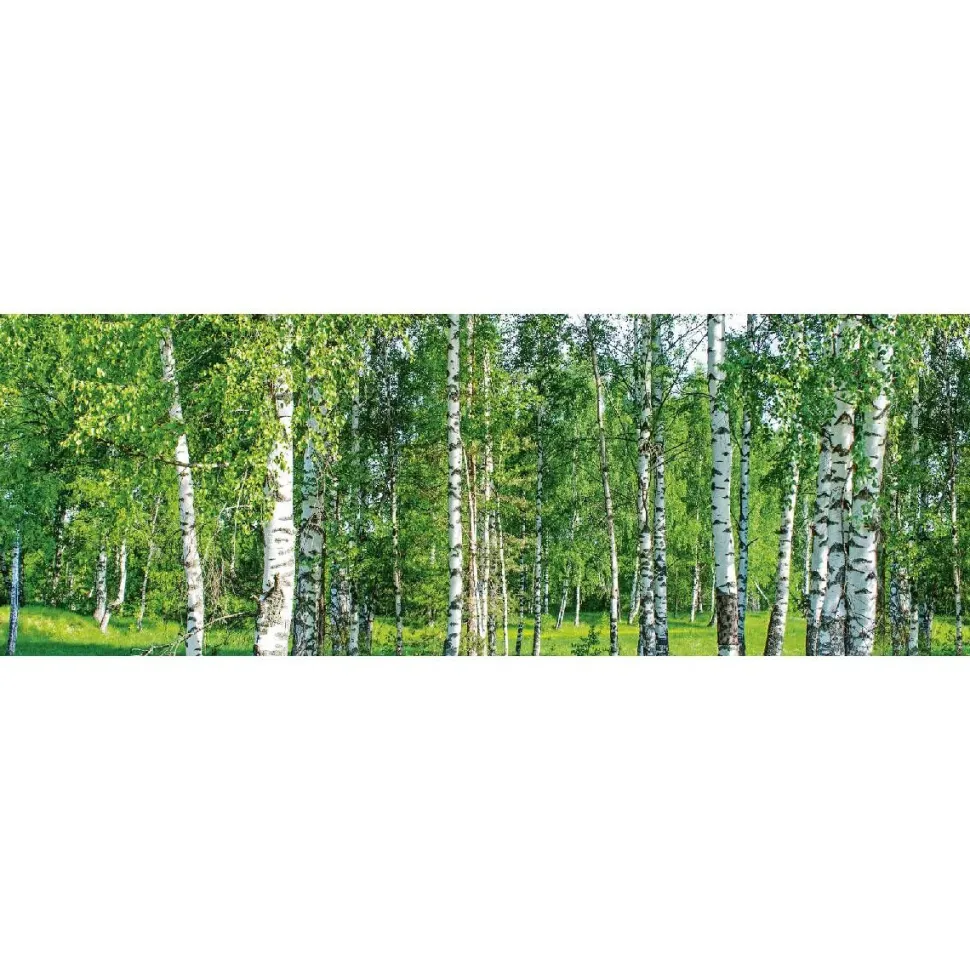 Välitilatarra Dimex Birch Grow 180x60cm