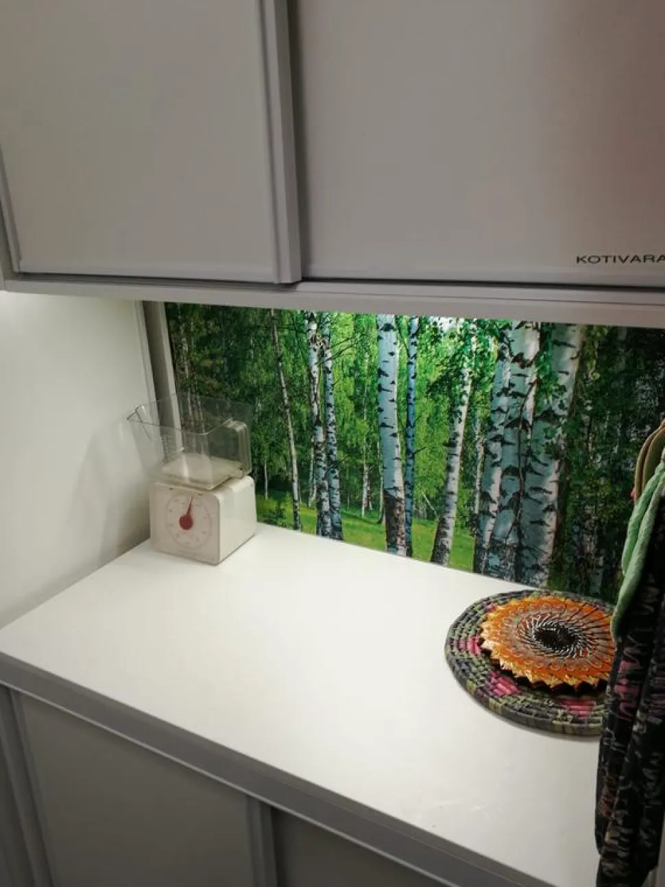 Välitilatarra Dimex Birch Grow 180x60cm