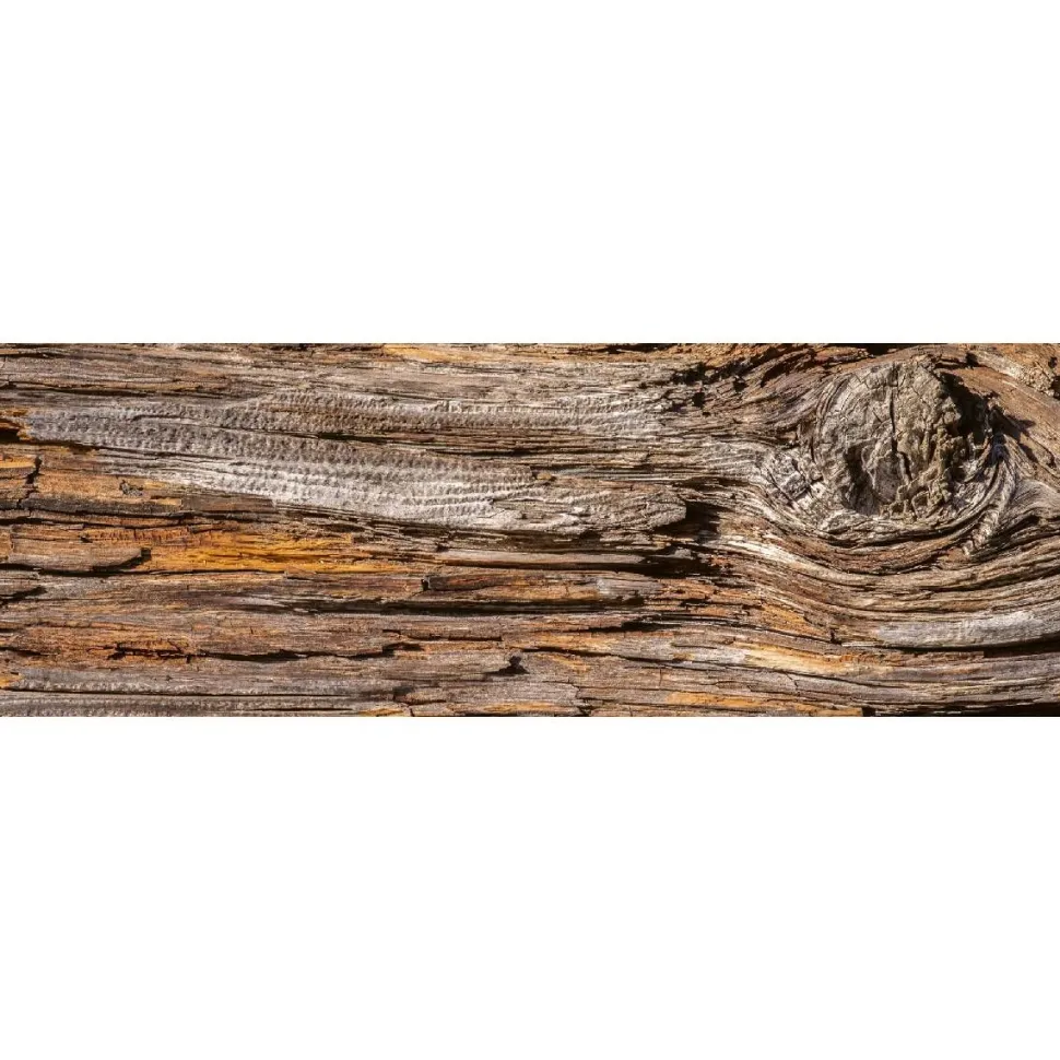 Välitilatarra Dimex Tree Bark 260x60cm