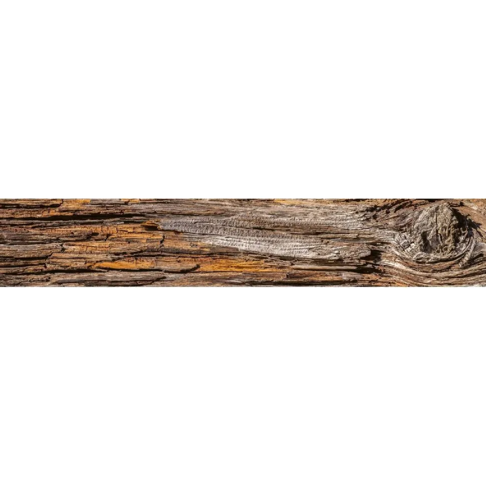 Välitilatarra Dimex Tree Bark 260x60cm