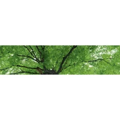Välitilatarra Dimex Treetop 180x60cm