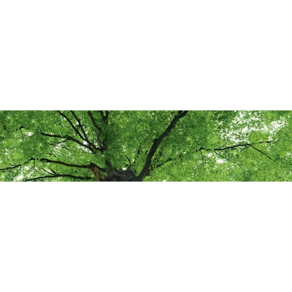 Välitilatarra Dimex Treetop 180x60cm