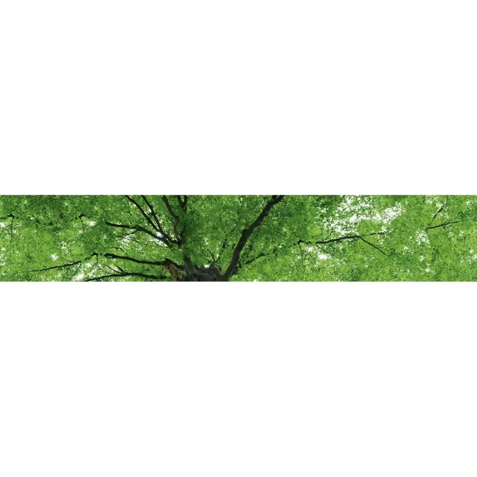 Välitilatarra Dimex Treetop 180x60cm