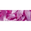 Välitilatarra Dimex Violet Petals 260x60cm