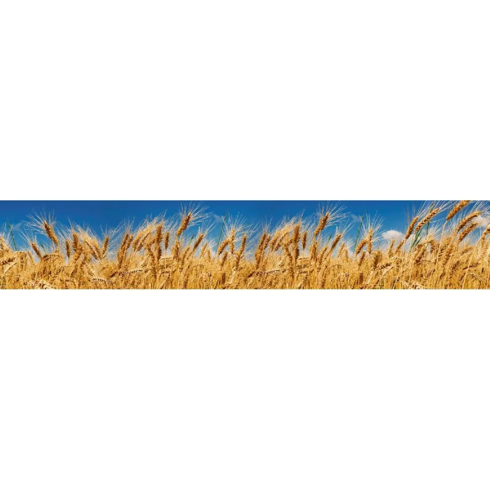 Välitilatarra Dimex Wheat Field 180x60cm