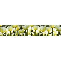 Välitilatarra Dimex White Tulips 180x60cm