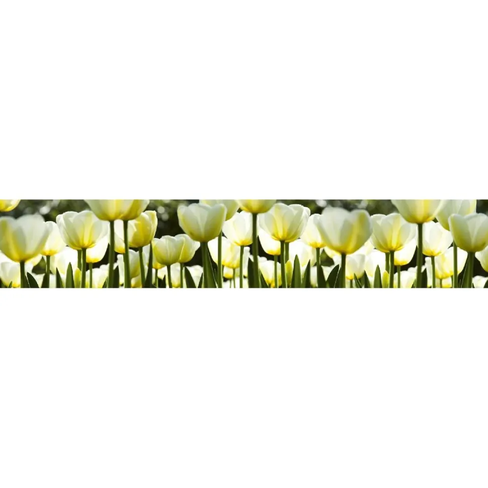 Välitilatarra Dimex White Tulips 180x60cm